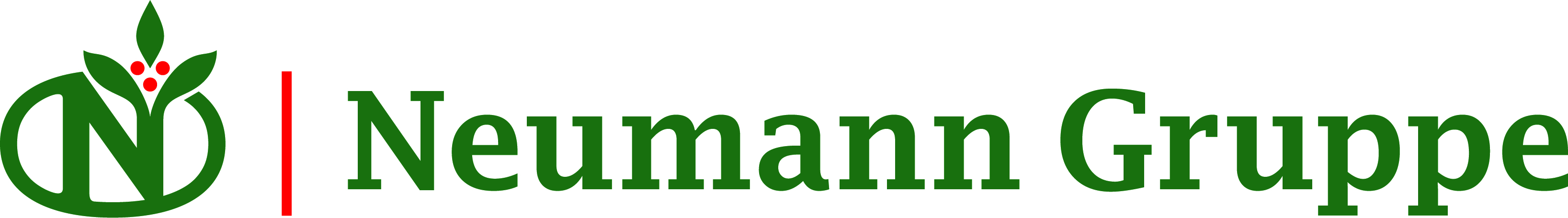 Neumann Gruppe logo